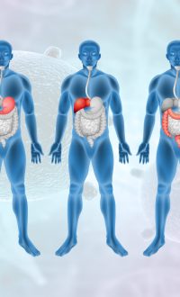 Tumores no sistema gastro-intestinal