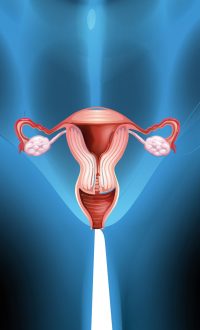 Tumores ginecológicos (ovario, utero)